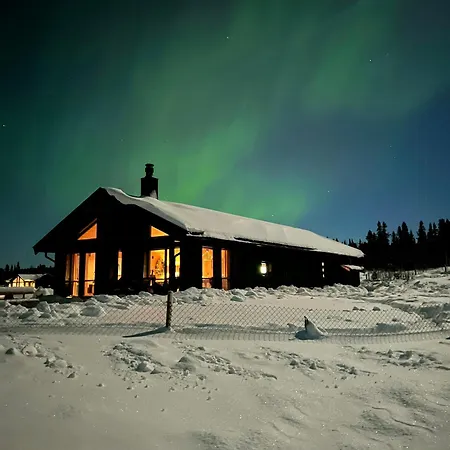 度假居 Experience Unique Feel At Golsfjellet *