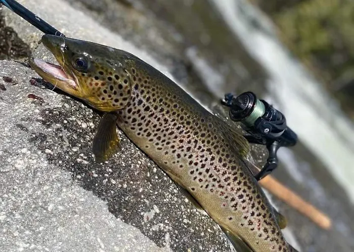 Experience Unique Feel At Golsfjellet *