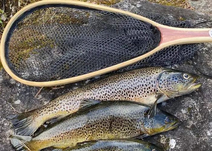 度假居 Experience Unique Feel At Golsfjellet *