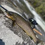 Experience Unique Feel At Golsfjellet *