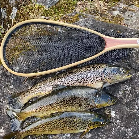Hébergement de vacances Experience Unique Feel At Golsfjellet *